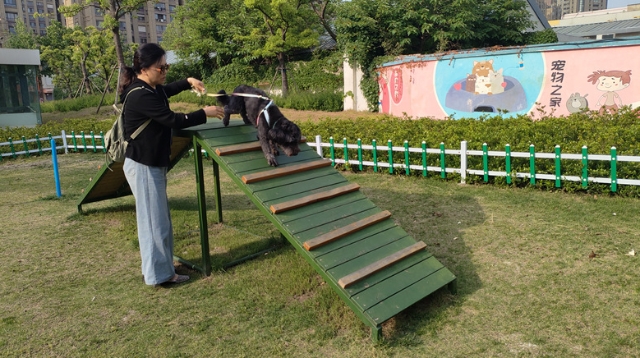 崇川建成全市首個(gè)萌寵主題小游園